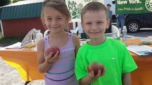 Festival Farmers Market