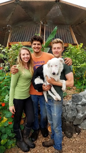 Kodama Farm & Food Forest