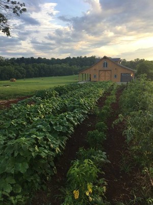 The Mockingbird Farm