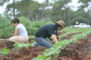 Empower School & Farm
