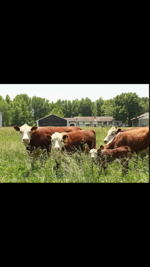 Kerner Farm