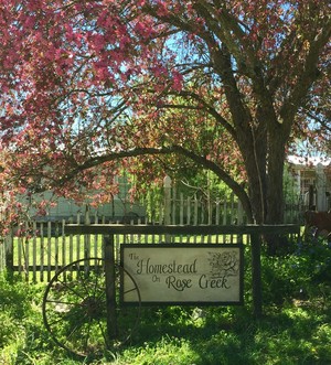 The Homestead On Rose Creek