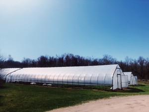 CBI's Giving Tree Farm