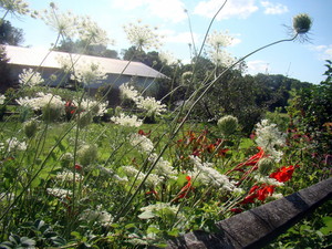 Cherry Grove Farm