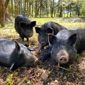 Tabula Rasa Farms