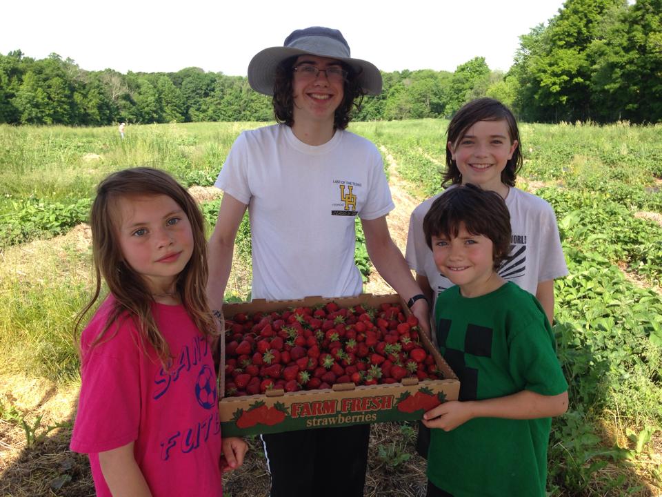 Granny B Farm - LocalHarvest