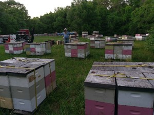 Hannan Honey, Honey Meadows Farm
