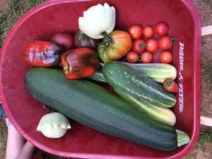 Sacred Ridge Farm