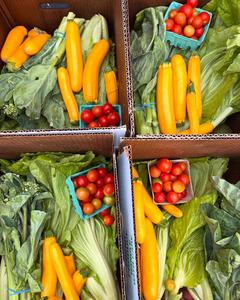 Food Access Los Angeles CSA