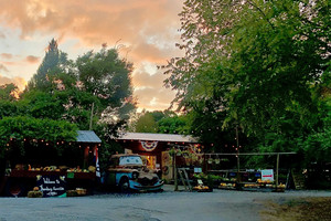 Thornbury Farm CSA