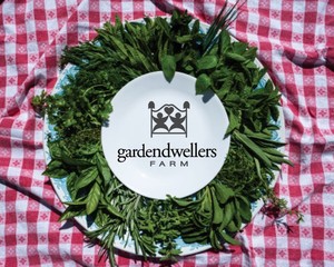gardendwellers Farm