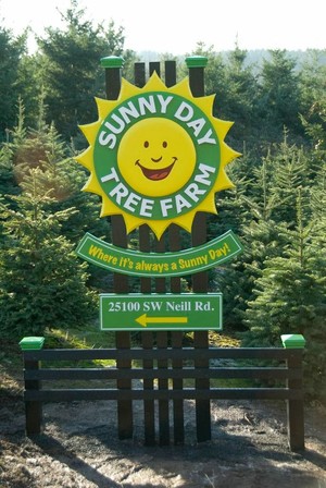 Sunny Day Tree Farm