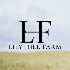 Lily Hill Cattle