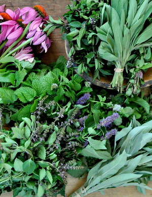 Sawmill Herb Farm