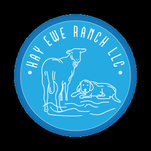 Hay Ewe Ranch LLC