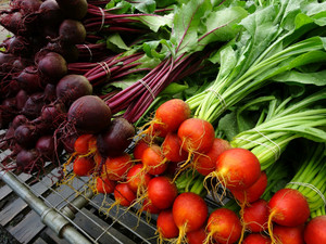 Red Hill Farm