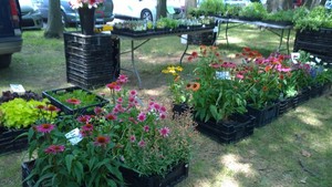 New Freedom Farmer's Market