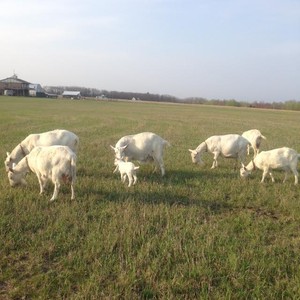Resonance Center Farm
