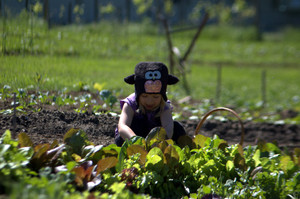 County Line Family Farm