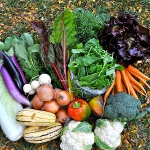 Garden City CSA