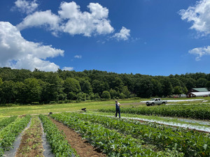 Dancing Harvest Farm