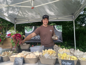 Wild Notion Farms