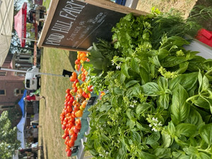 Pond Hill Farm