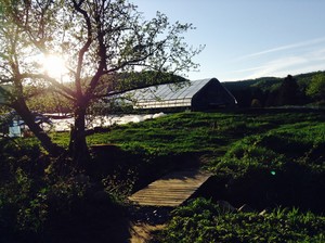 Crossmolina Farm