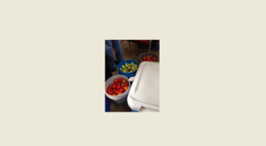 Richland Chambers Lake Farmers Market