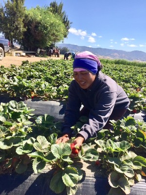 Agriculture and Land-Based Training Association (ALBA)