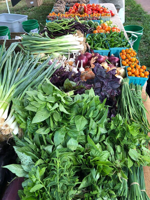 Sungold Farm