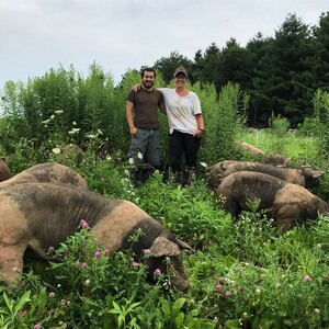 Nettle Valley Farm