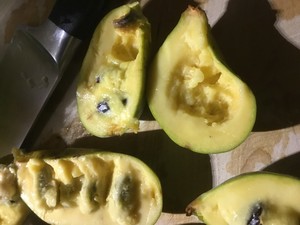 Pawpaw