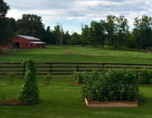 Rock Spring Farm