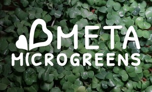 Meta Microgreens