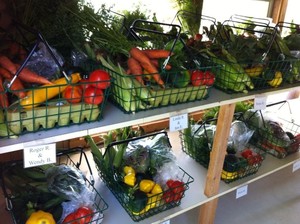 Crazy Daisy CSA