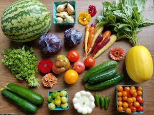 Hunter Hill CSA