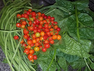 Weriweripeppers