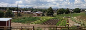 Mountair Park Community Farm, by Sprout City Farms