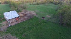Fide' Farm and Dairy