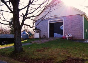 Sun Moon Farm