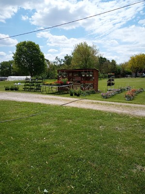 The Narrow Way Farm