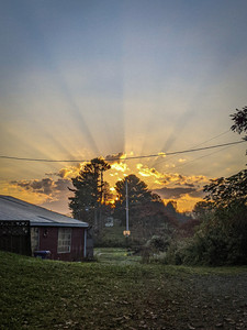 Sunrise Hollow Farm