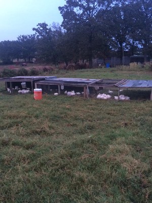Boyd Family Farms