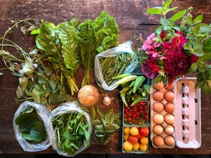No. 9 Farms