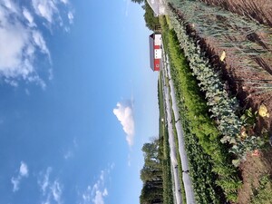 Stoney Acres Farm