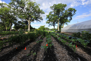 McLaughlin Grows Urban Farm - Community enCompass