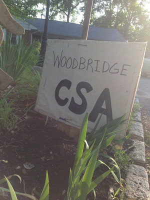 Woodbridge NJ CSA