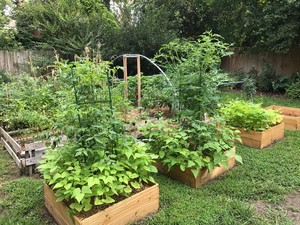 Specialty Gardens