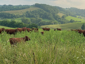 Heritage Trail Farm
